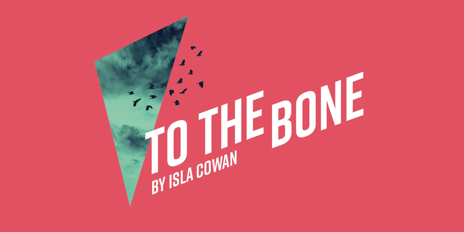 A stormy sky with the silhouette of birds.